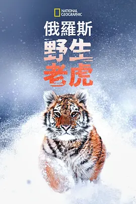 k频国产精品